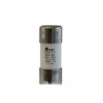 FUSIBLE DYFUS ZR-2 DE 80 gG-GI