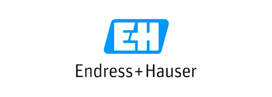 ENDRESS HAUSER logo